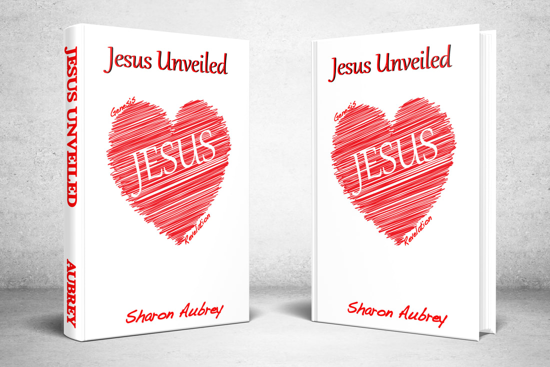 Picture of 2 books: Jesus Unveiled
