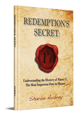 Picture of the book Redemption's Secret